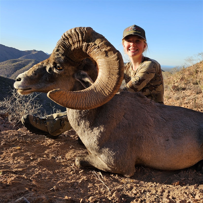 Keetin Daugherty – Desert Bighorn
