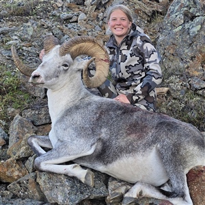 Keetin Daugherty – Stone's Sheep