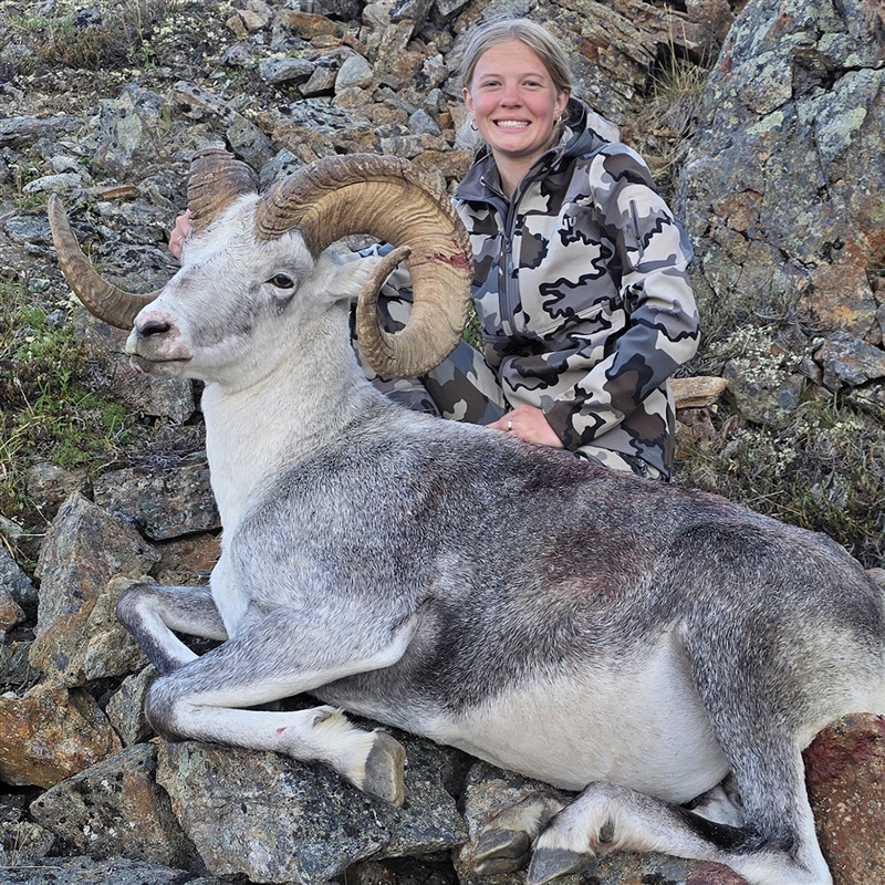 Keetin Daugherty – Stone's Sheep