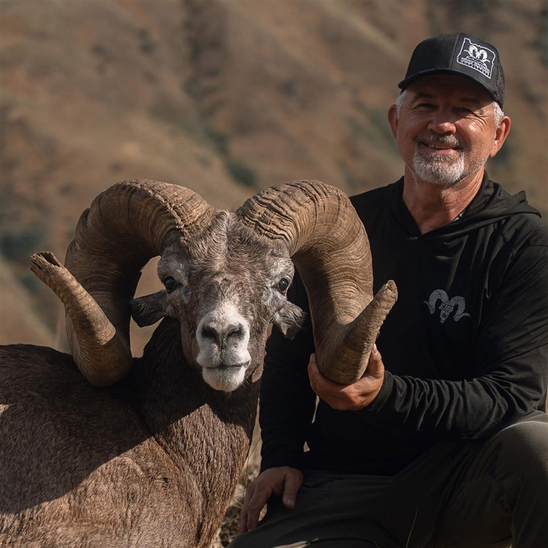 Kip Kochevar – Bighorn Sheep