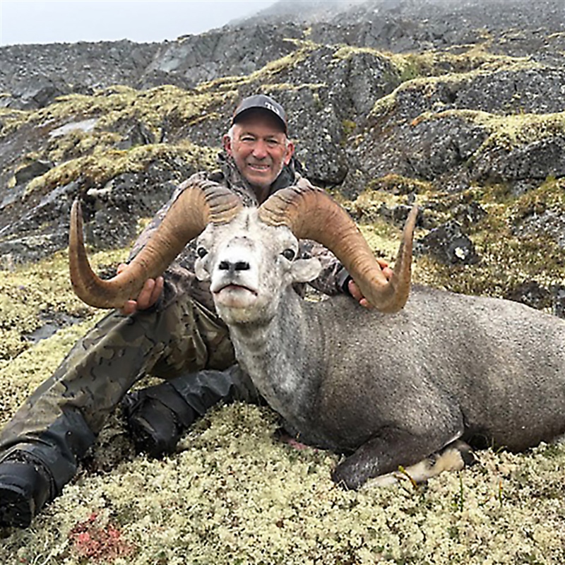 Mike Carpinito – Stone's Sheep