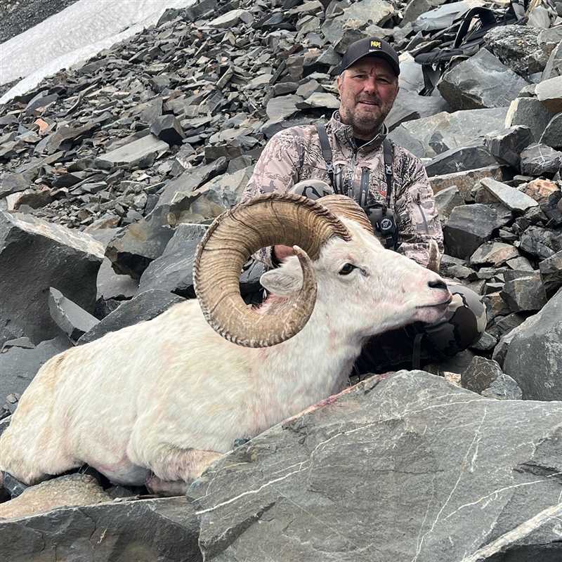 Mike Peters – Dall's Sheep