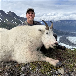 Phillip Smith– Rocky Mountain Goat