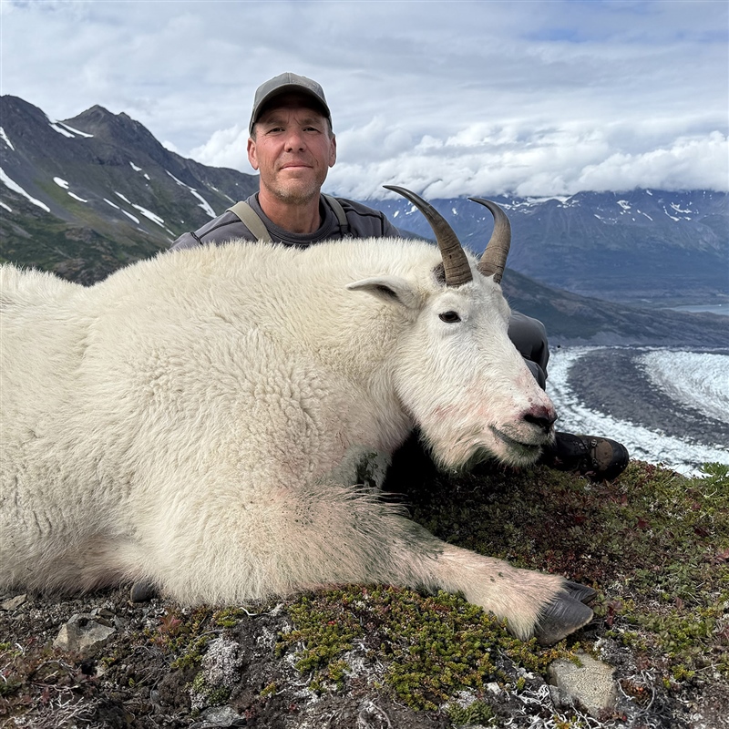 Phillip Smith– Rocky Mountain Goat