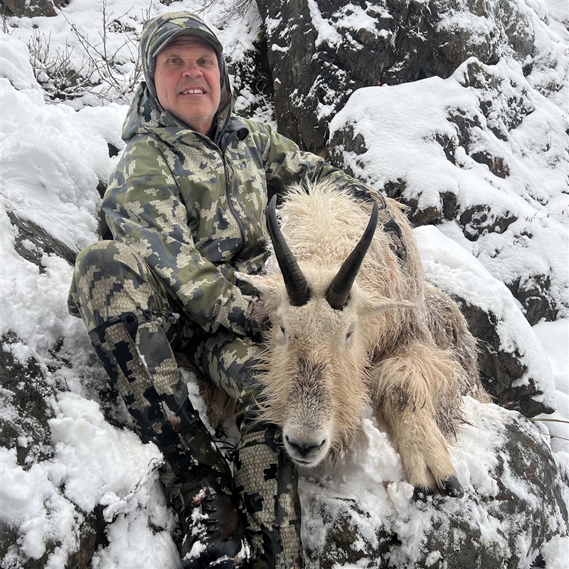 Robert Vlach– Rocky Mountain Goat