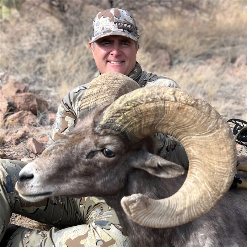 Royce Patterson – Desert Bighorn