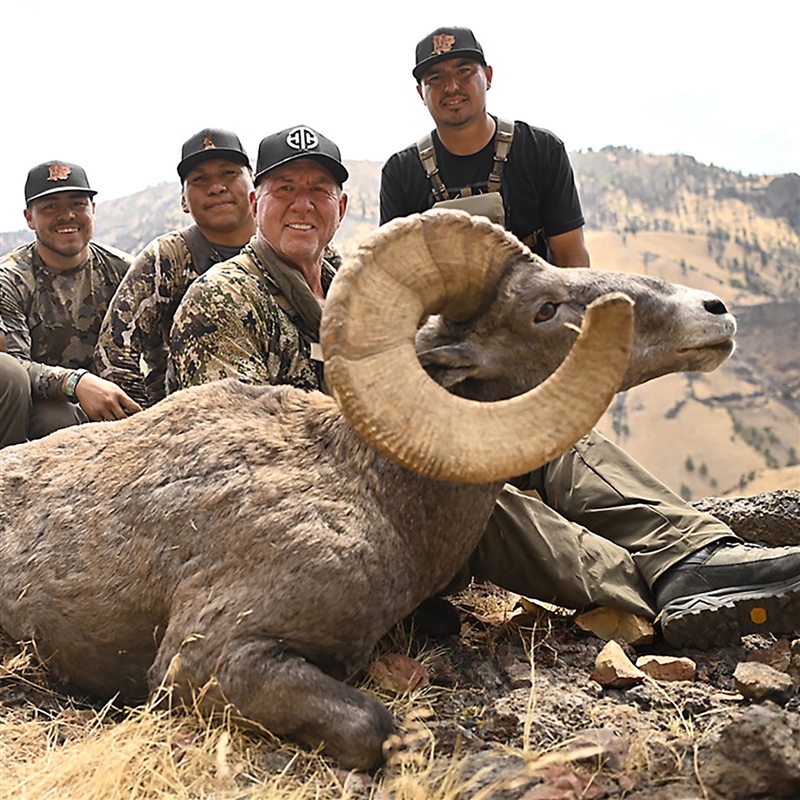 Timothy Haught – California Bighorn