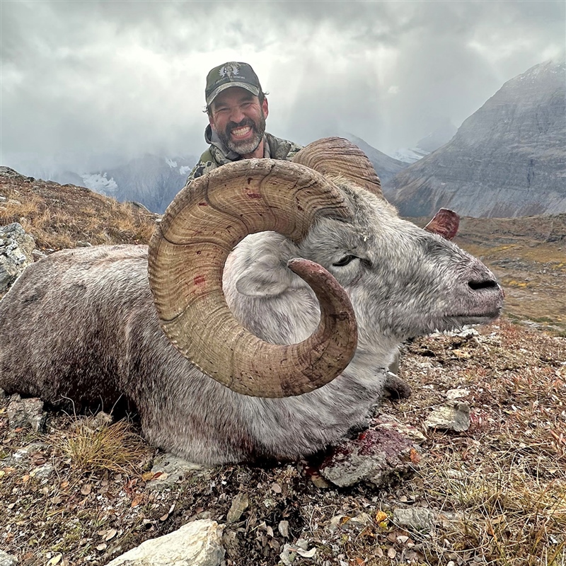 Ulric Sullivan – Stone's Sheep