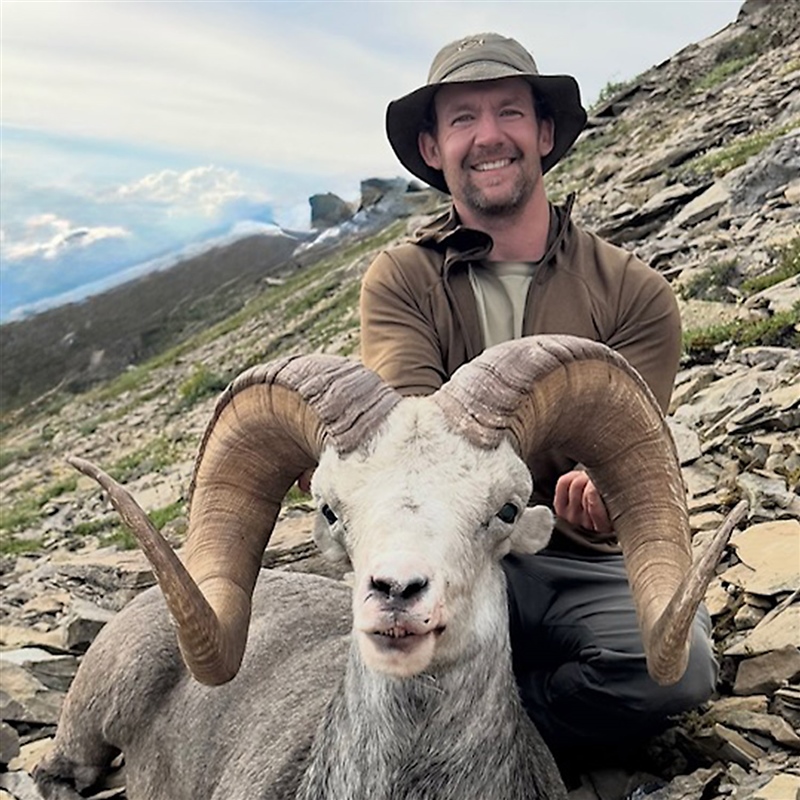 Waylon Vipond  – Stone's Sheep