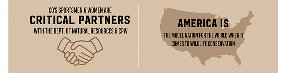 CSF graphic on the North American Model CSF graphic on the North American Model