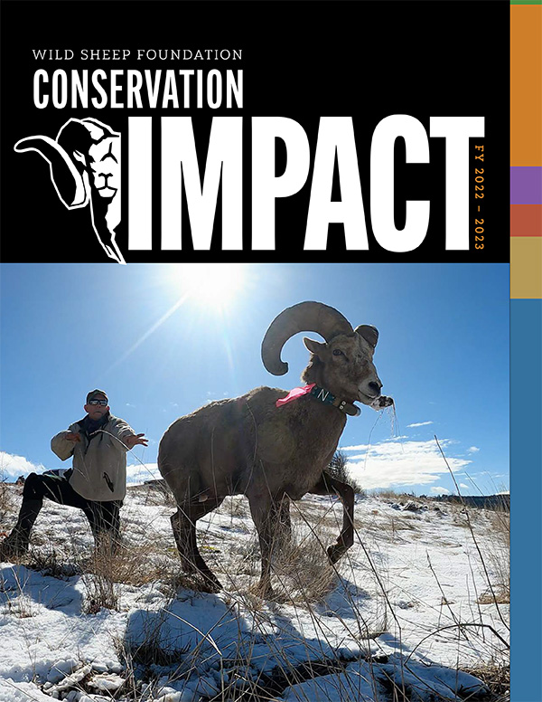 Cover of the Wild Sheep Foundation Conservation Impact FY 2022-2023 magazine.