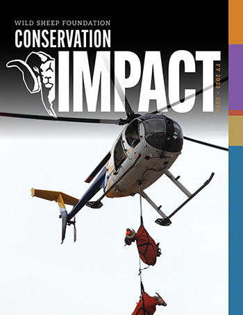 Cover of the Wild Sheep Foundation's FY 2023-2024 Conservation Impact magazine