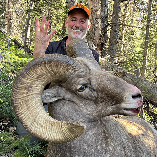 Mike Barber with his fourth North American ram. Mike Barber with his fourth North American ram.