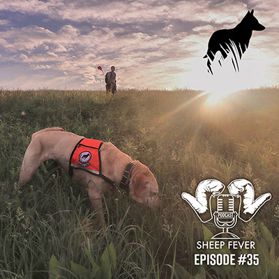 Image of a handler and a dog working in a field