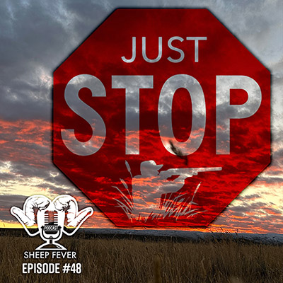 Stop sign superimposed over a sunset