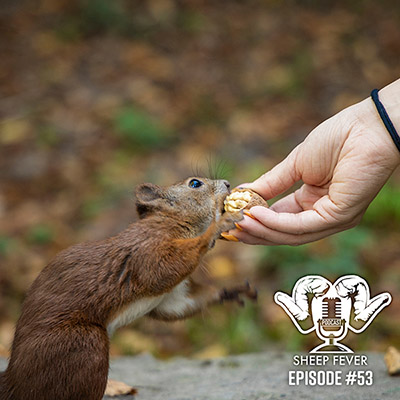 hand feeding a squirrel