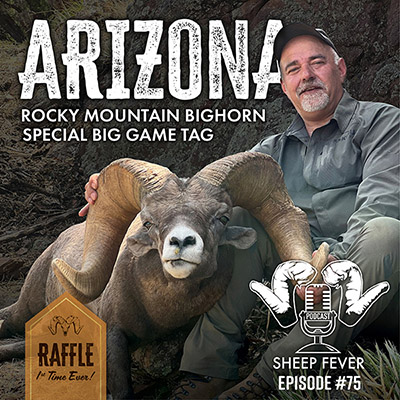 Sheep Fever Episode 75 - AZ Bighorn Raffle