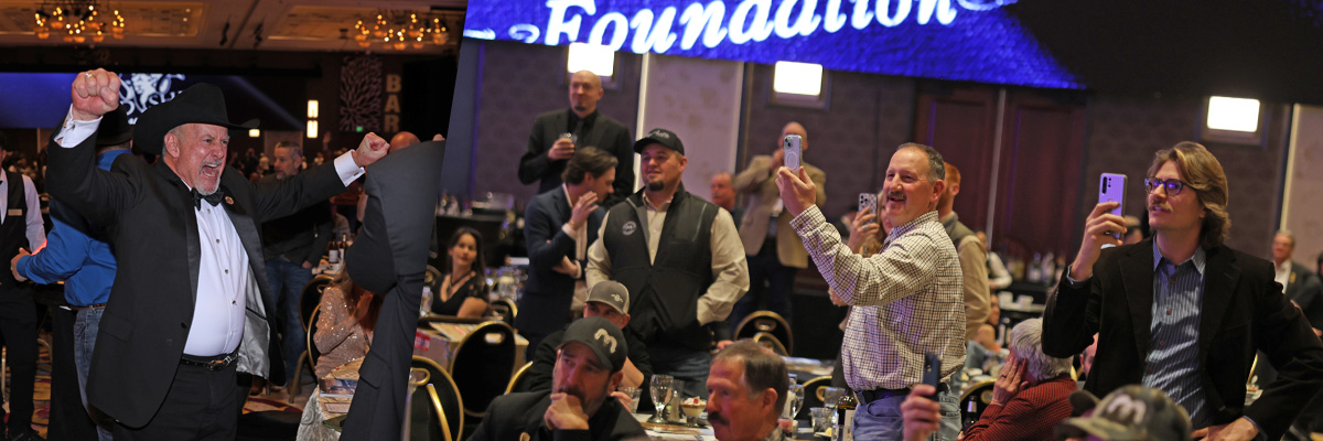 2025 Sheep Show Auction 