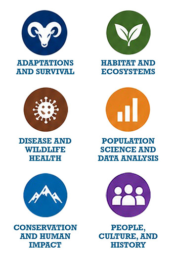 Teacher kit icons describing educational materials 