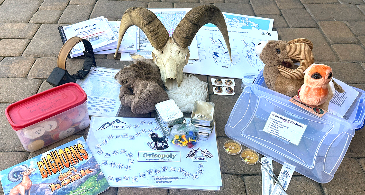 WSF Teacher Check-Out Kit for sheep education