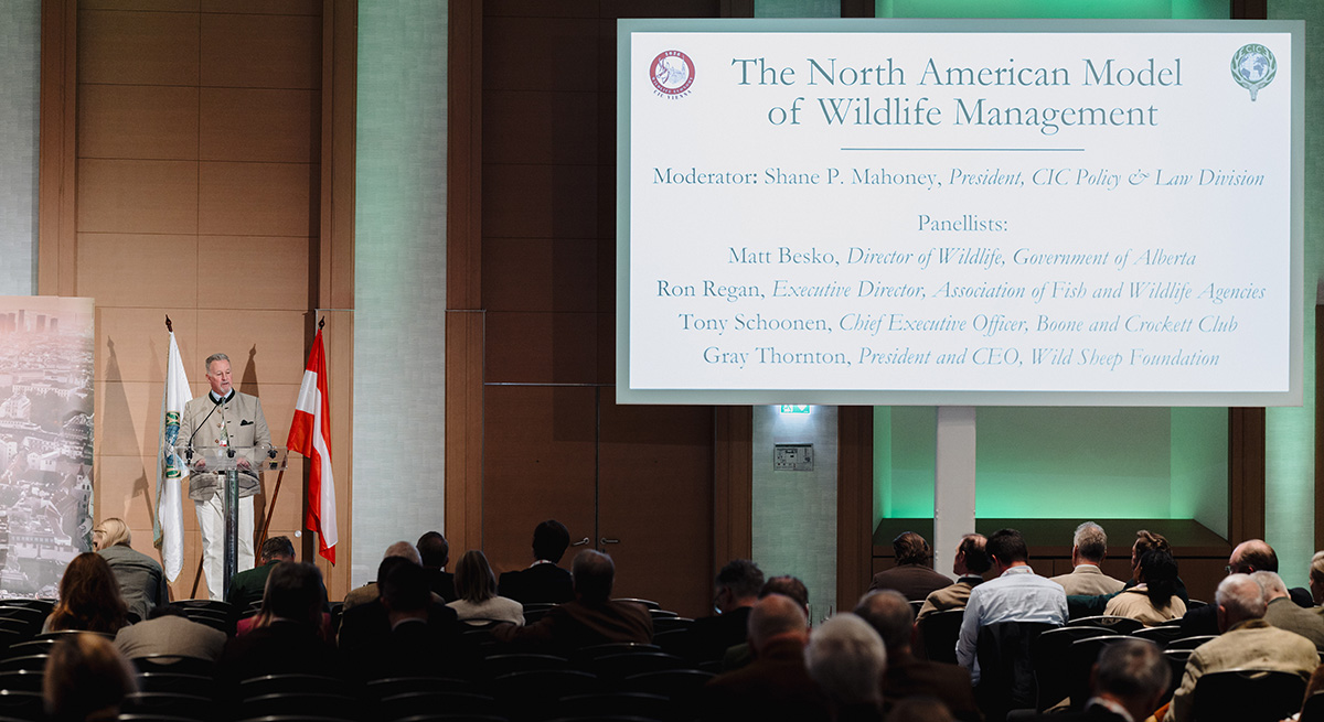 Gray Thornton presenting on the North American Model at the CIC Convention in Vienna