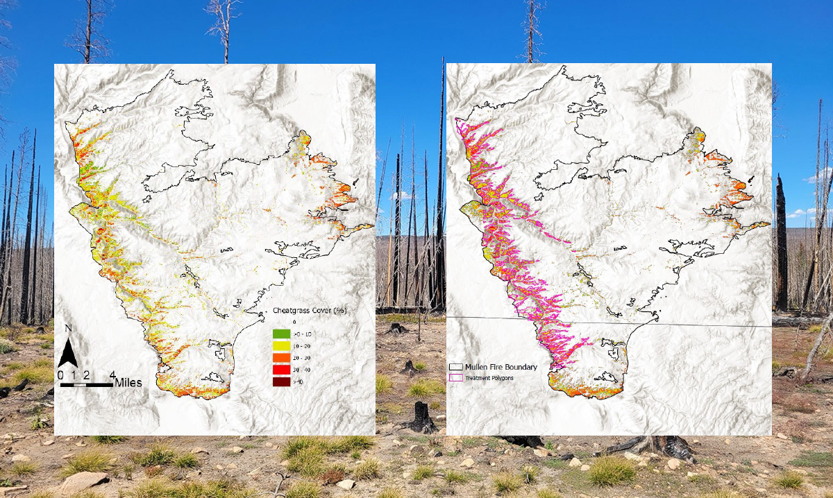 Burn area and treatment mapping Burn area and treatment mapping