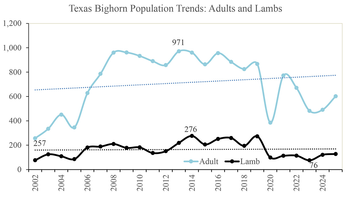Desert bighorn population trends in Texas Desert bighorn population trends in Texas