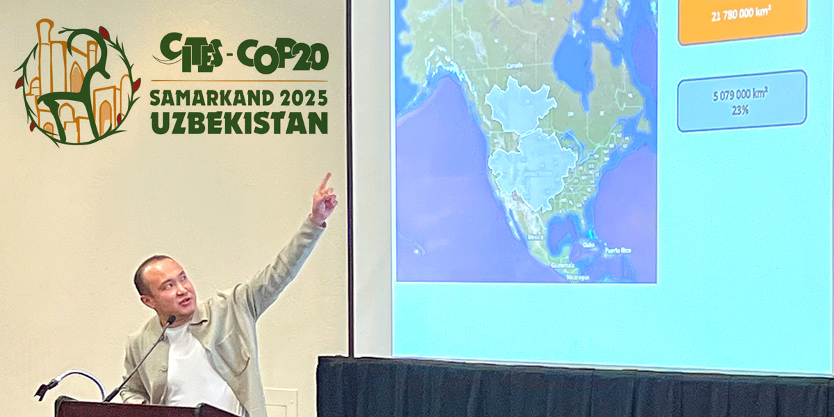 Muzbay updating wildlife professionals at the 2026 Sheep Show Muzbay updating wildlife professionals at the 2026 Sheep Show