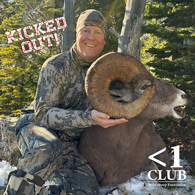 Kicked Out Scott Ellis Rocky Mountain Bighorn
