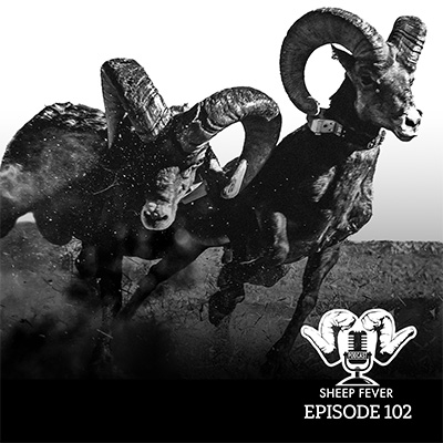 Sheep Fever Podcast Episode 102  CV2030