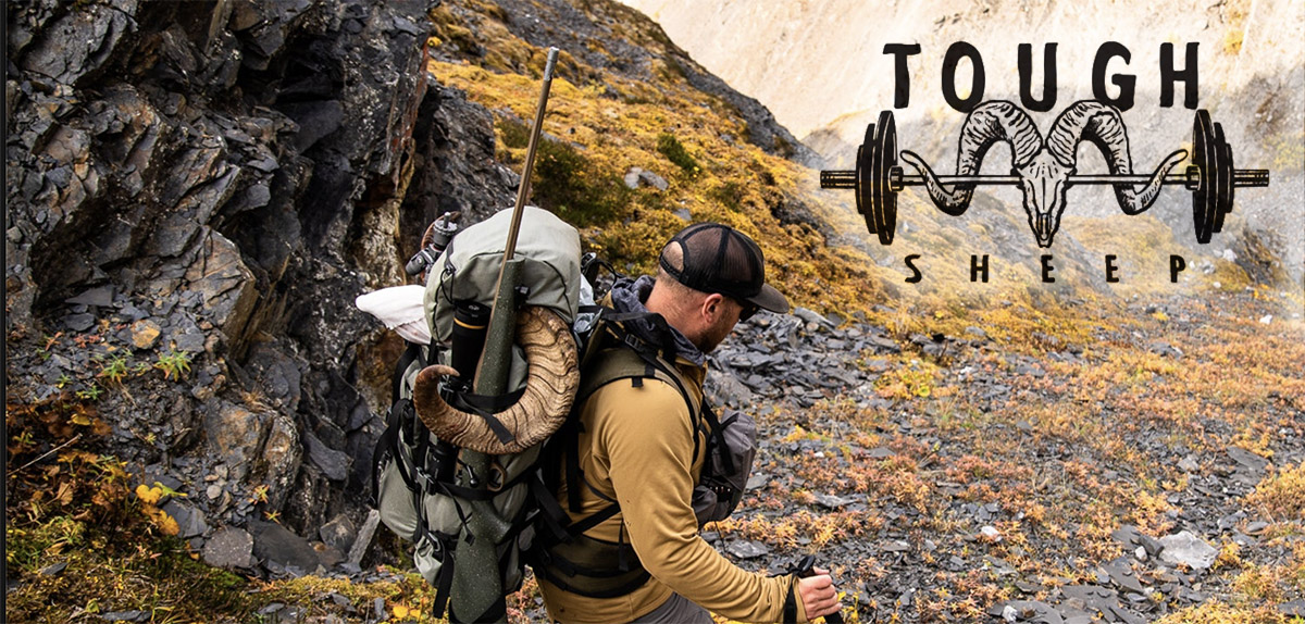 Dall's sheep hunter in the mountains