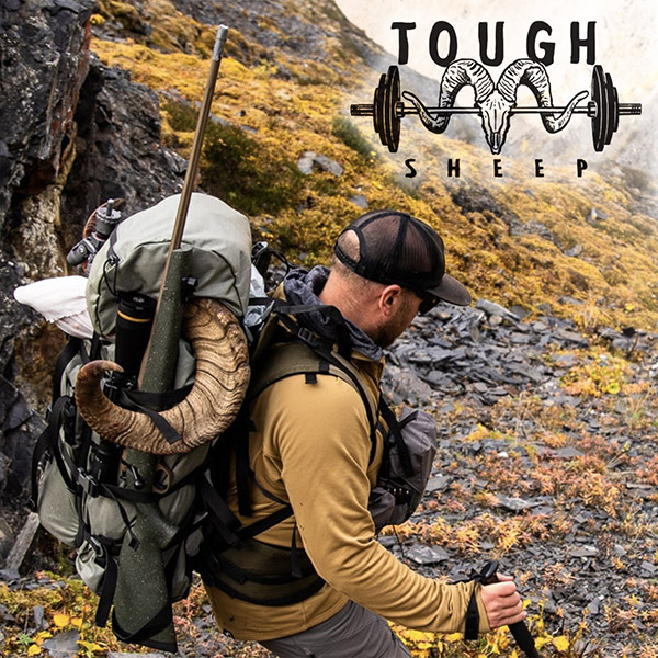 Dall's sheep hunter