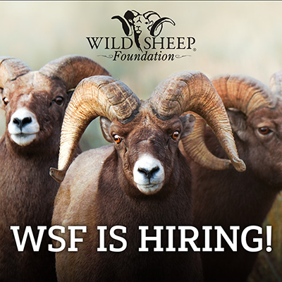 WSF is Hiring - image courtesy of Adam Bowen