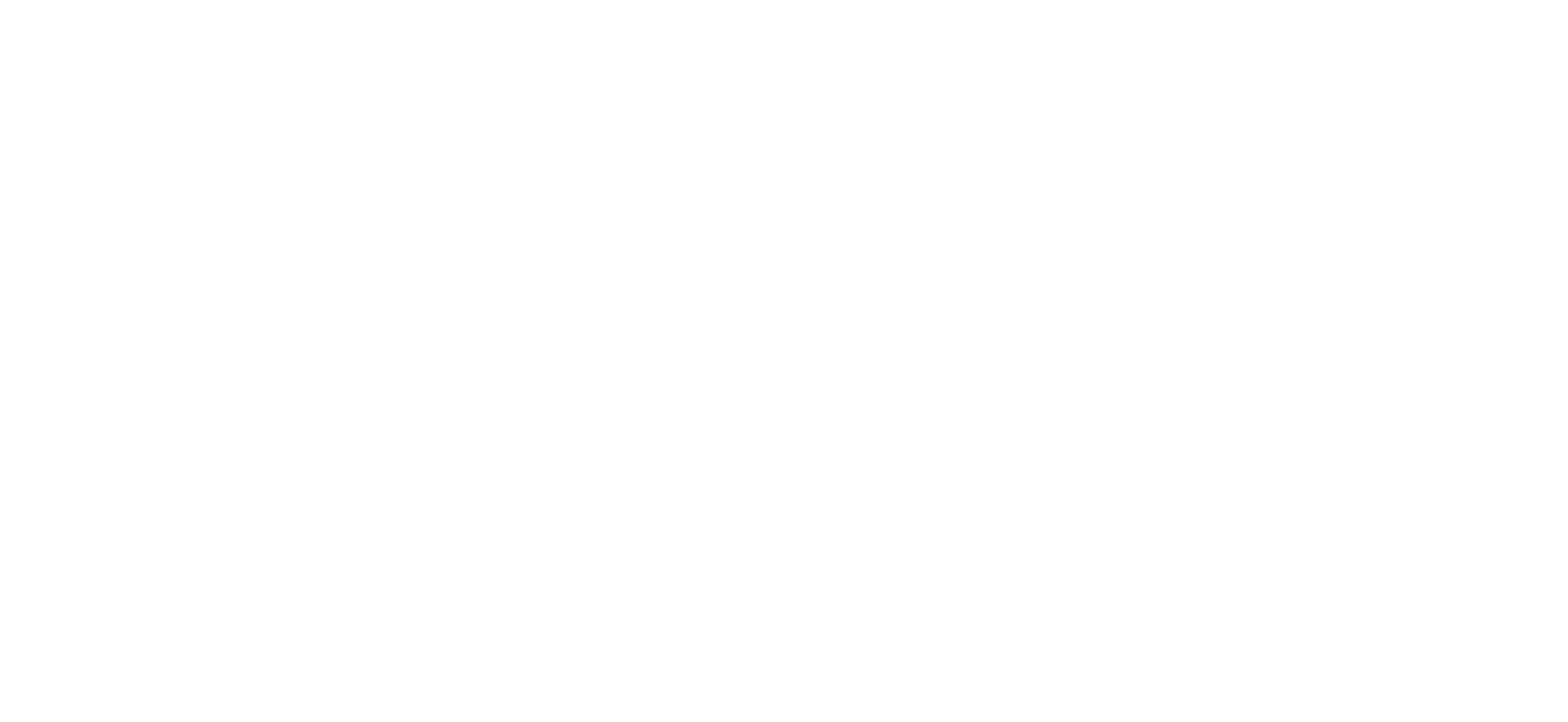 WSF Logo