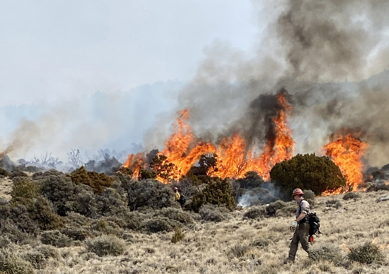 Firefighters conducting a prescribed fire near Hyattville in the Medicine Lodge Wildlife Habitat Management Area. Firefighters conducting a prescribed fire near Hyattville in the Medicine Lodge Wildlife Habitat Management Area.