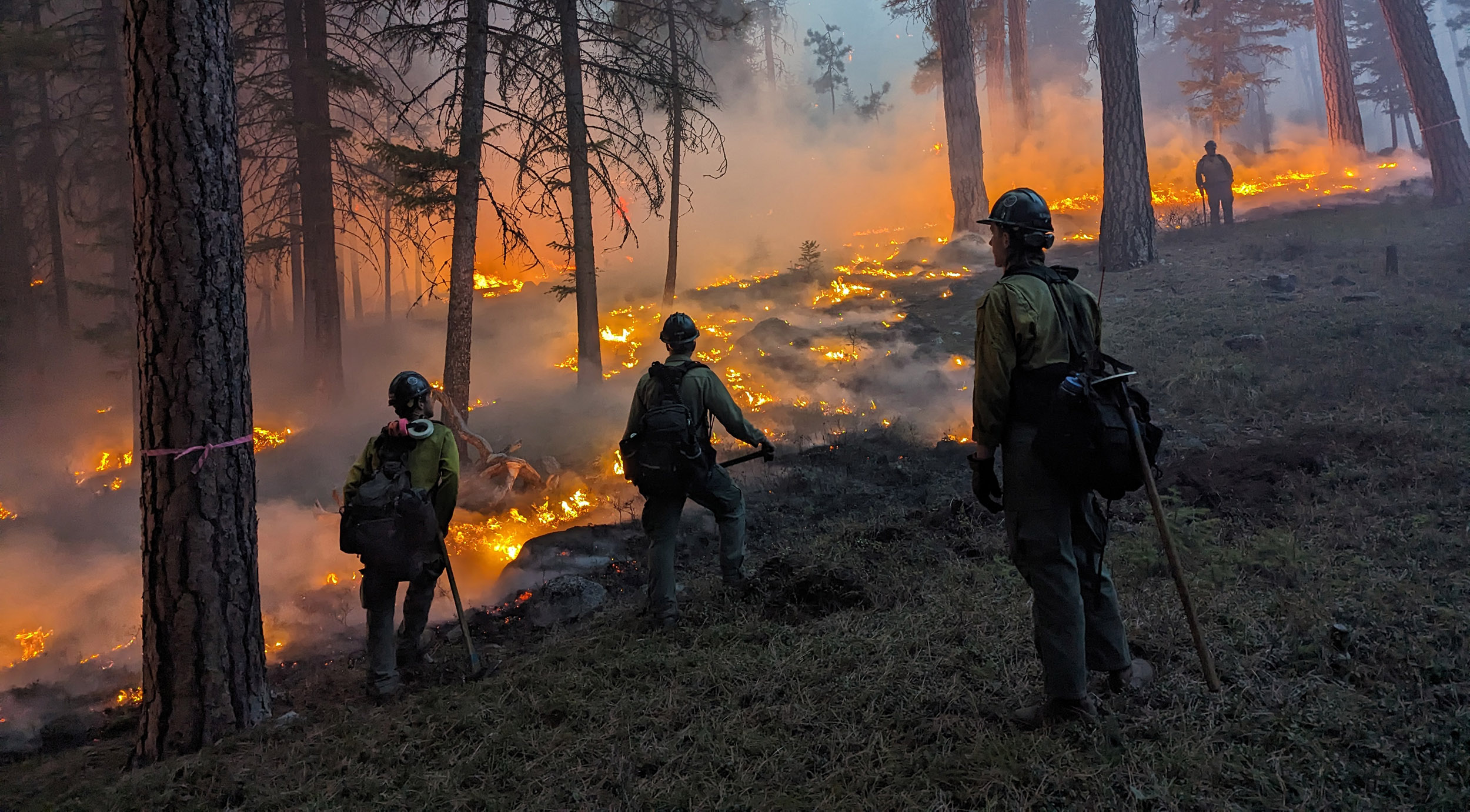Prescribed burn near Darby Montana