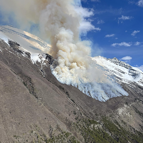 Prescribed burn in British Columbia to improve wildlife habitat