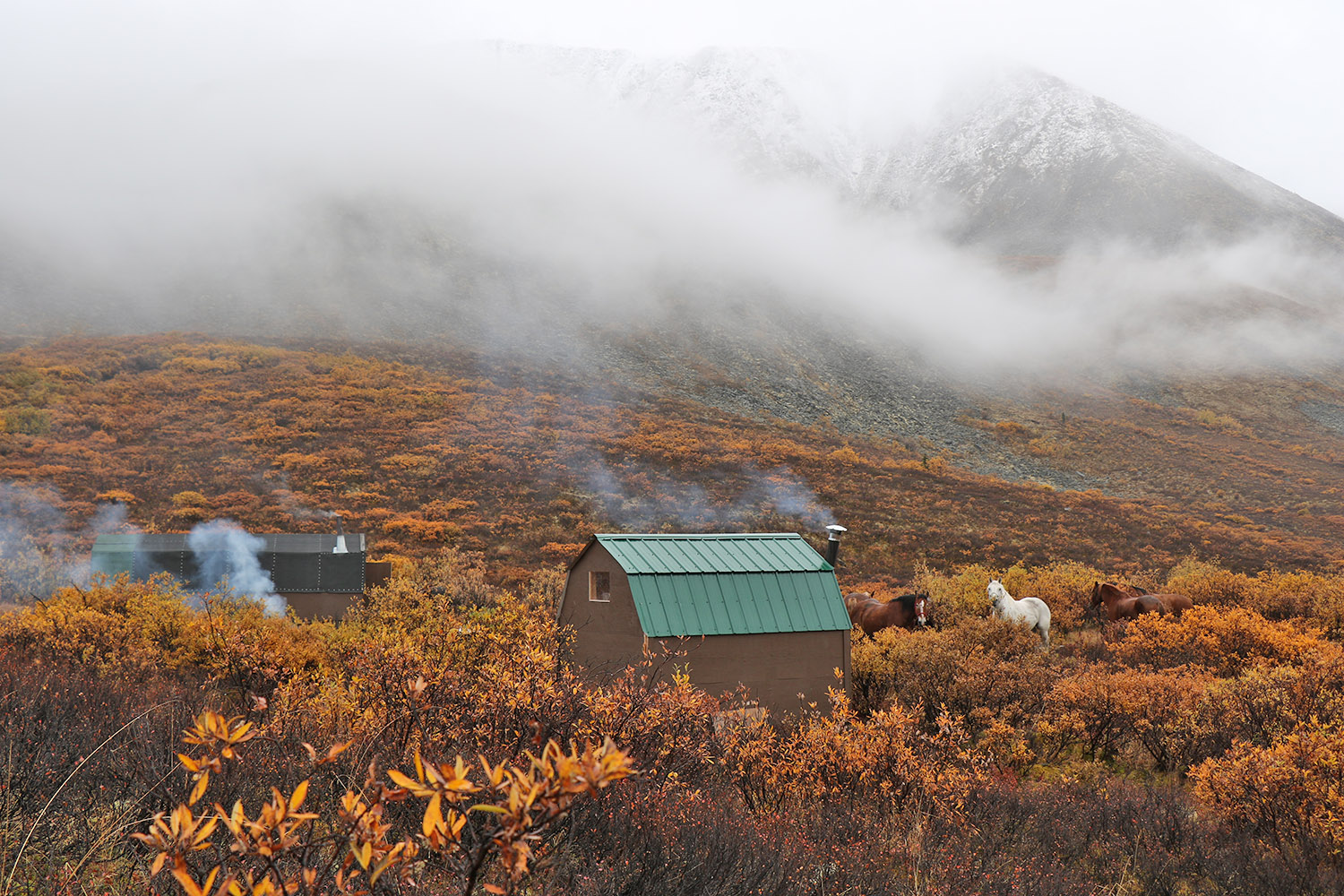 Low clouds at sheep camp