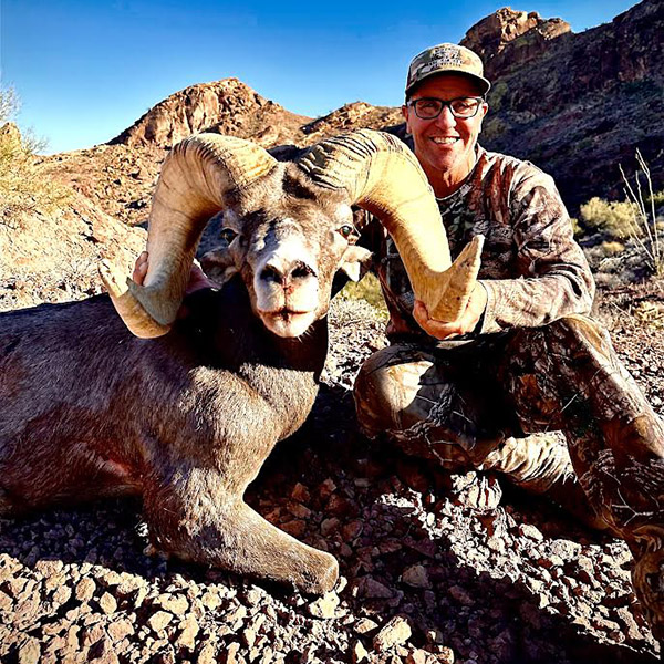 Arizona desert ram harvested by hunter with a .270 Winchester