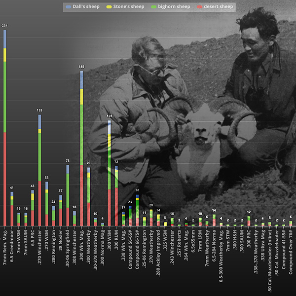Sheep Calibar graph with Jack O'Connor in the background