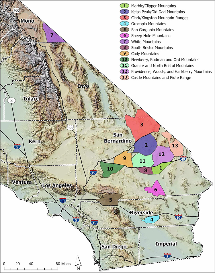 Bighorn hunting zones in California