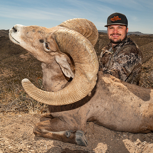 Texas Black Gap WMA 2025-2026 desert bighorn harvest