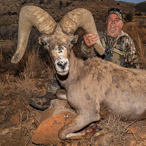 Elephant Mountain WMA Public Draw Tag Harvest