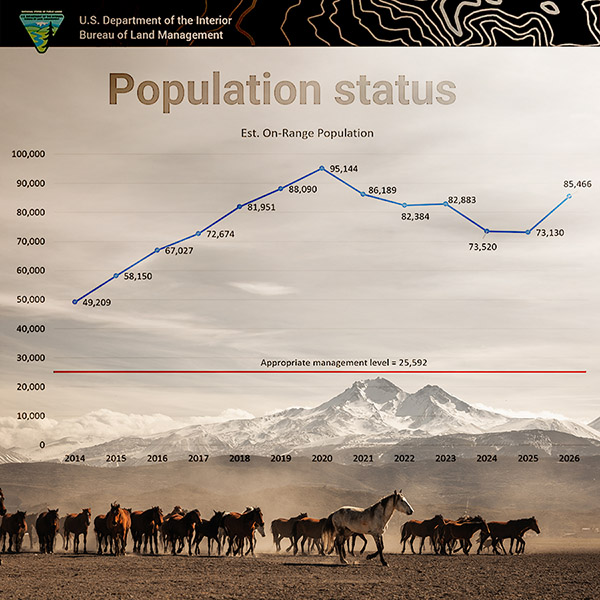 Feral horse herd with BLM population chart