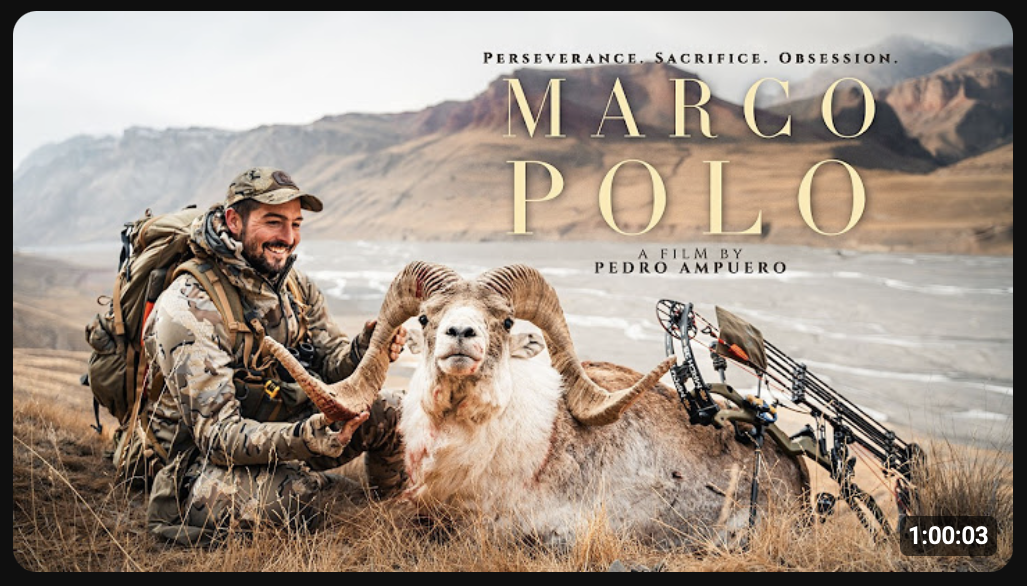 Film Cover - Marco Polo