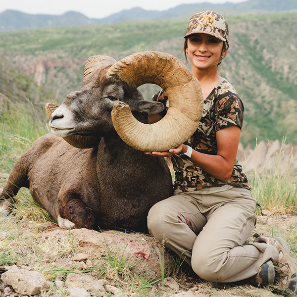 Anisa Carter - New Mexico Bighorn