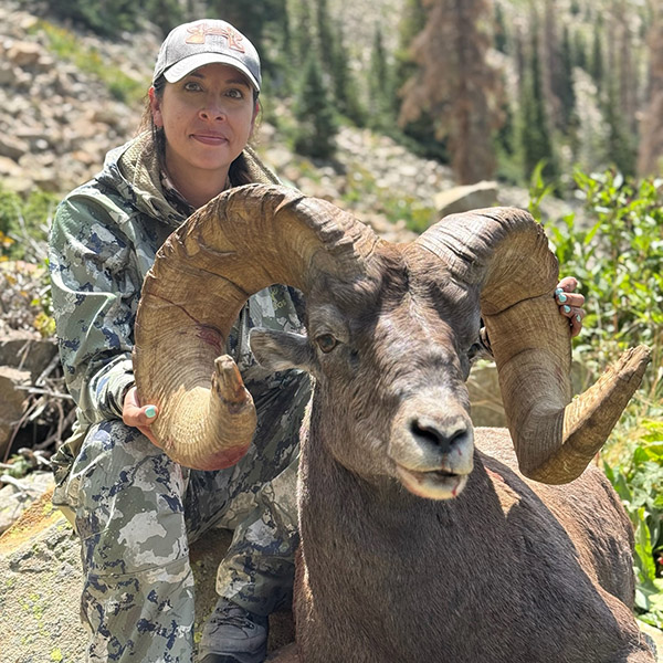 Samantha Valdez New Mexico bighorn
