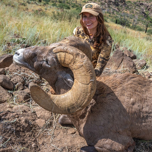 Zoe Havlena New Mexico bighorn