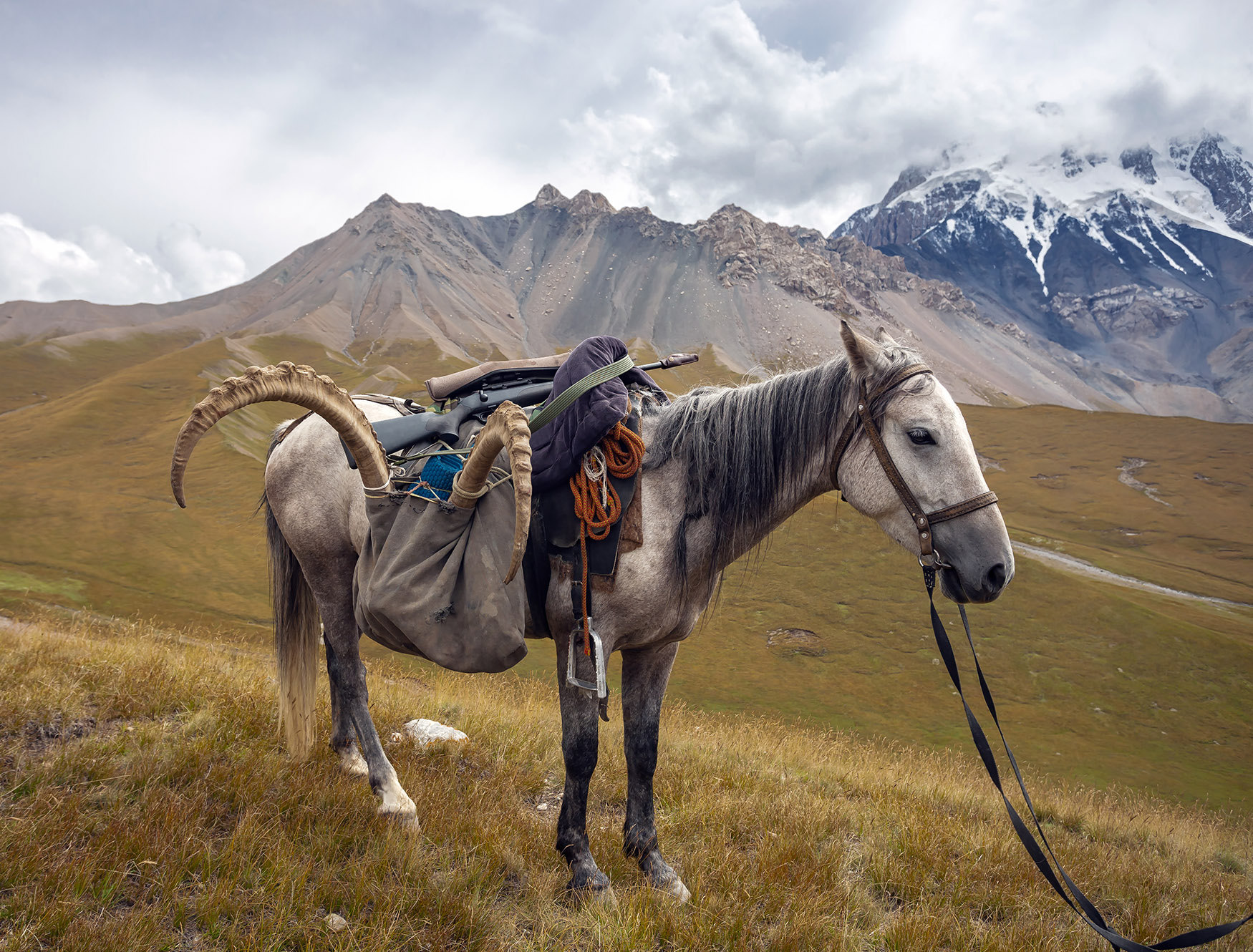 A horse packs out an ibex taken during a hunt in Kyrgyzstan