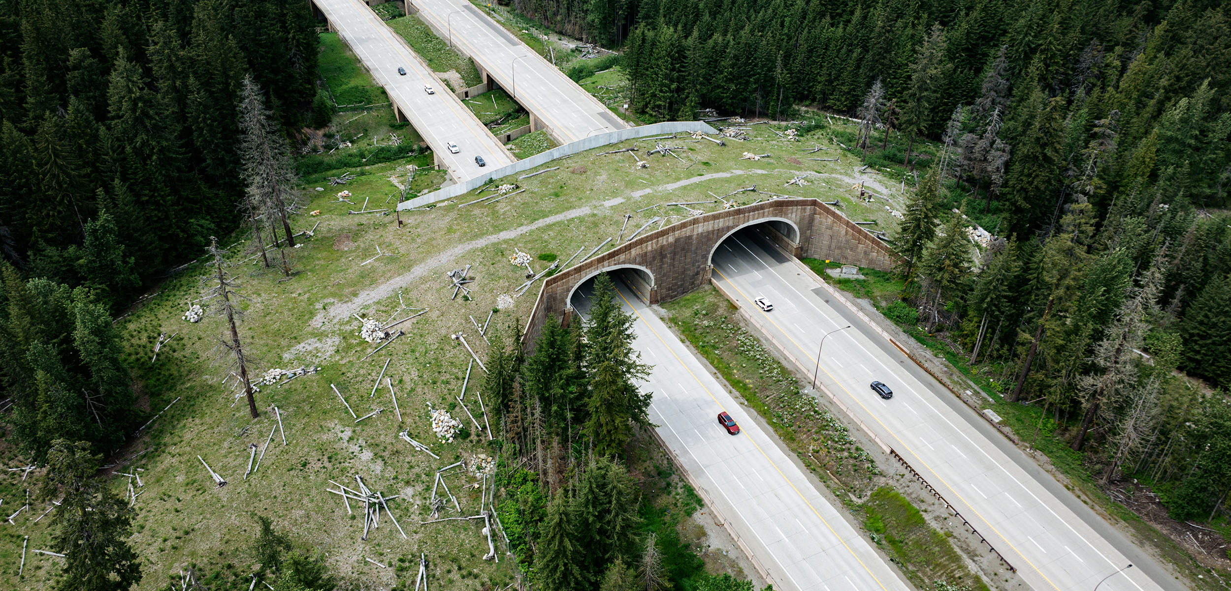 Wildlife Overpass